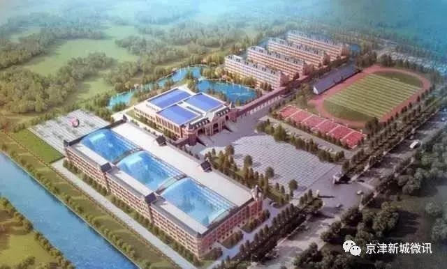 天津国务院新闻最新消息,国务院对天津的态度