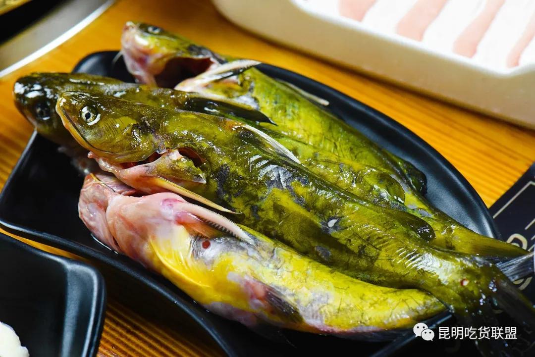 自助涮羊肉火锅昆明,昆明涮羊肉自助美食