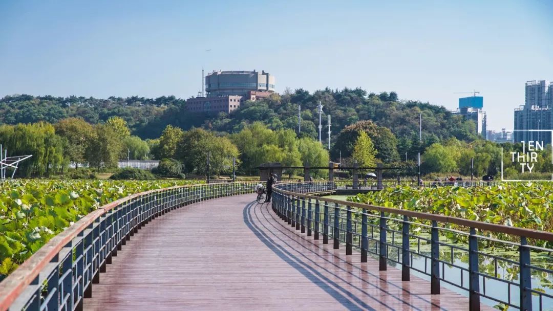 武汉11月打卡景点和网红地,武汉50个值得打卡的地方