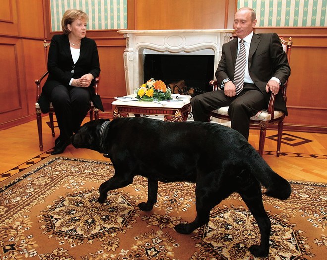 帝国的转身：默克尔的“肖像”