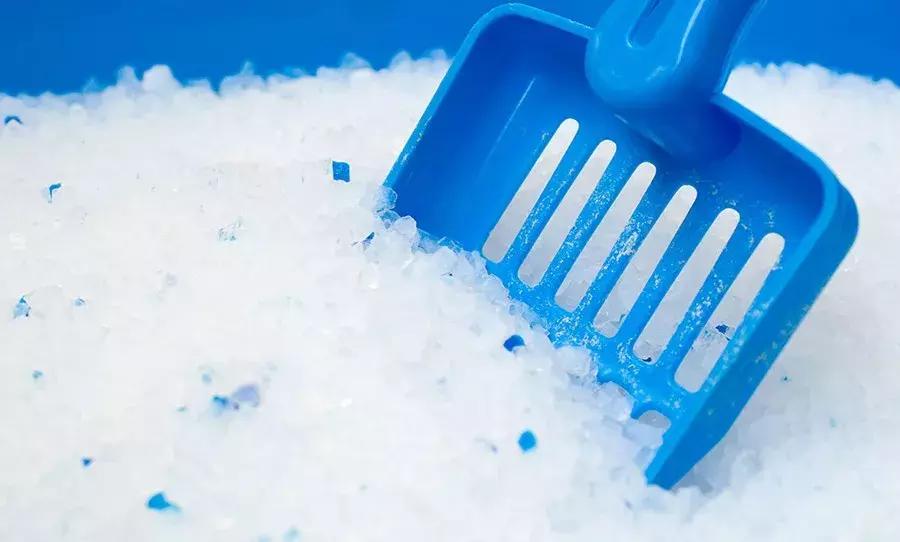 猫砂垃圾分类怎么处理,垃圾分类猫砂属于哪类