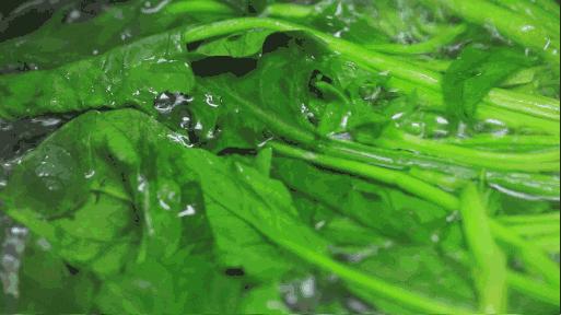 红细胞总数低如何食补,体检红细胞计数偏高怎么降下来