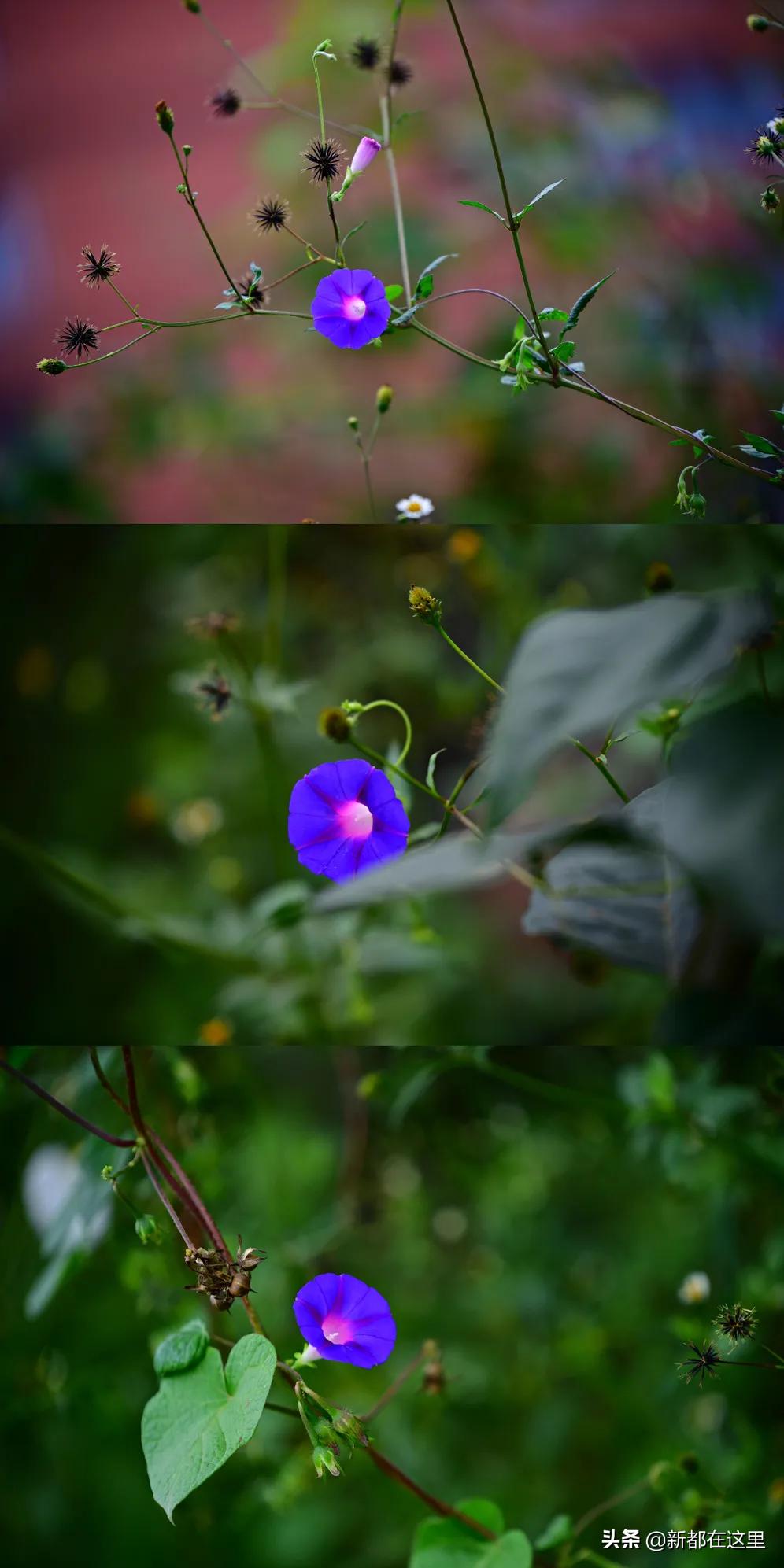 新都生活体验,来昆明感受向往的生活