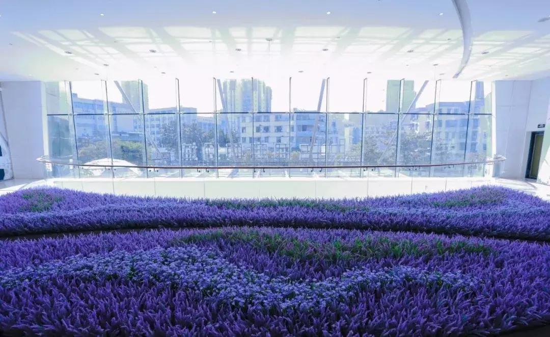 南头海雅缤纷城规划 (海雅缤纷城2022年)