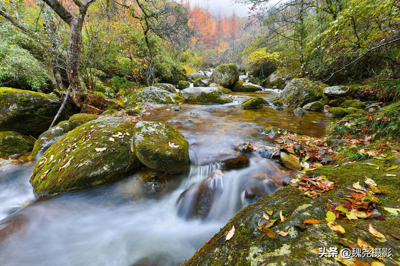 留坝秦岭之夜,留坝秦岭森林公园