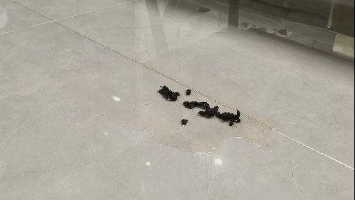 能平躺的洗地机米家,可以吸床的洗地机