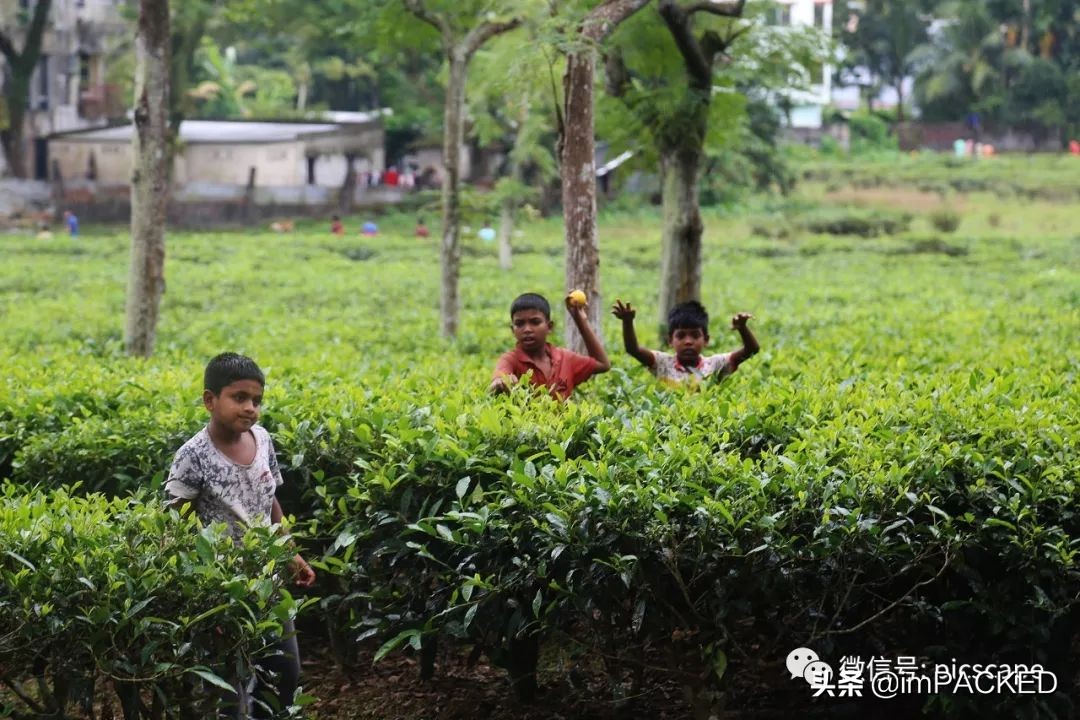孟加拉国贫困与饥饿如何解决,孟加拉国艰难的生存之路