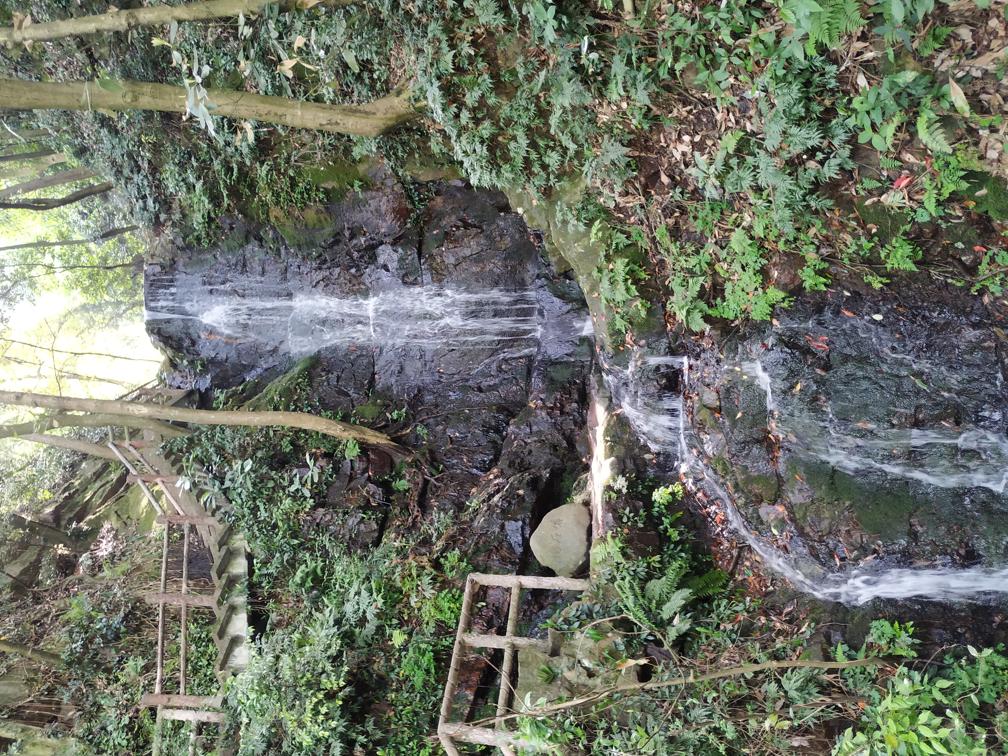 一个旅居者眼中的杭州:似水流年捕捉那四时光阴,美是记得