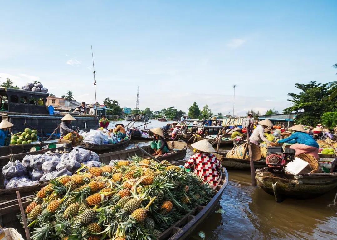 湄公河三角洲原来是柬埔寨的吗,湄公河三角洲是如何被越南占领