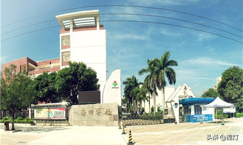 深圳坪山小学排名2019,深圳坪山小升初小学排行榜