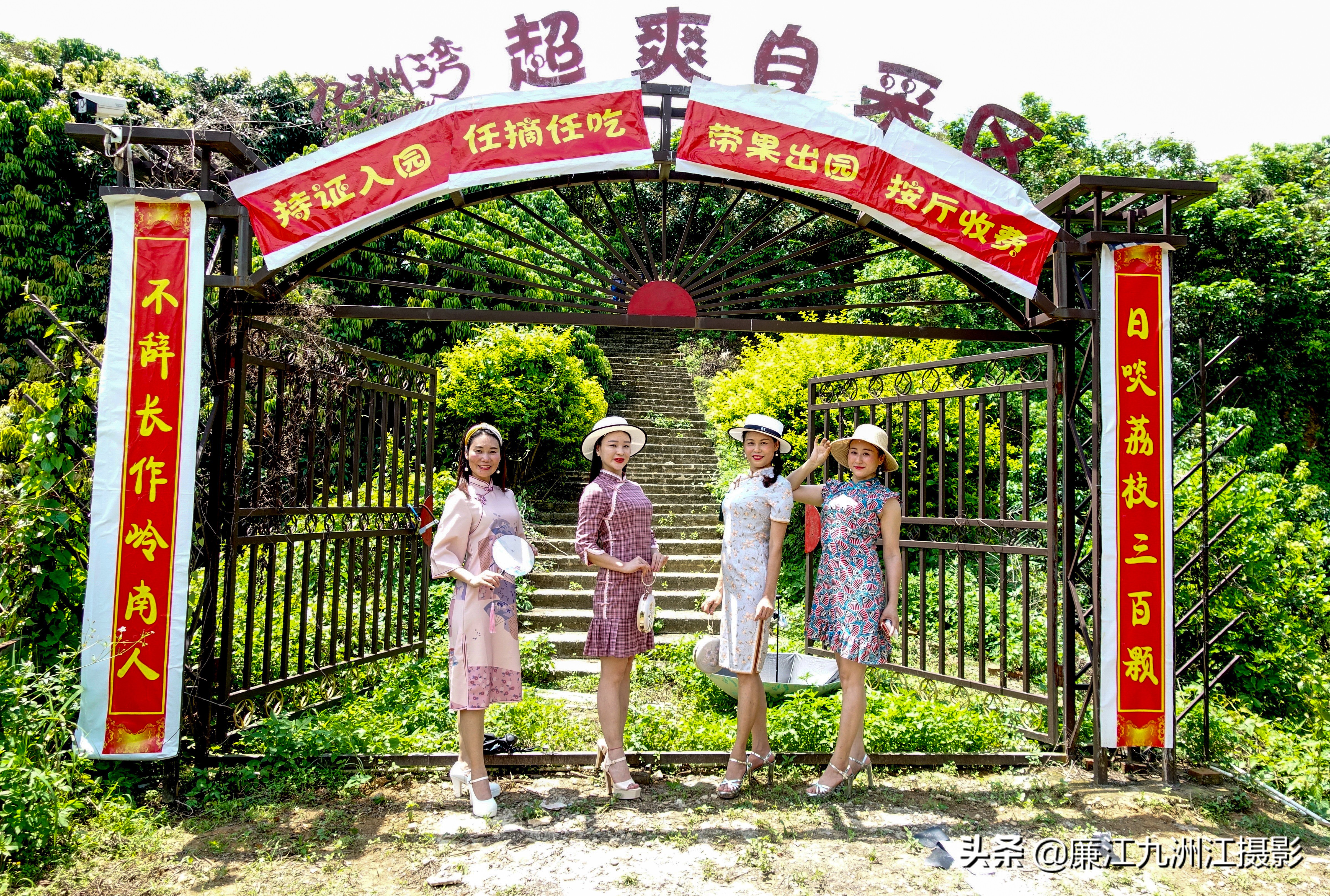 湛江市廉江荔枝节开幕式视频,廉江荔枝文化节