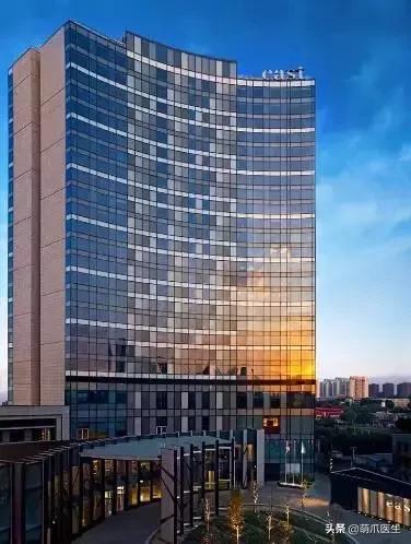 上海可带宠物入住的酒店推荐,怎么选宠物友好酒店房间