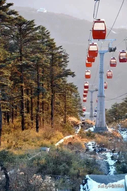 兰州到甘谷绿巨人开通时间,兰州至上海绿巨人