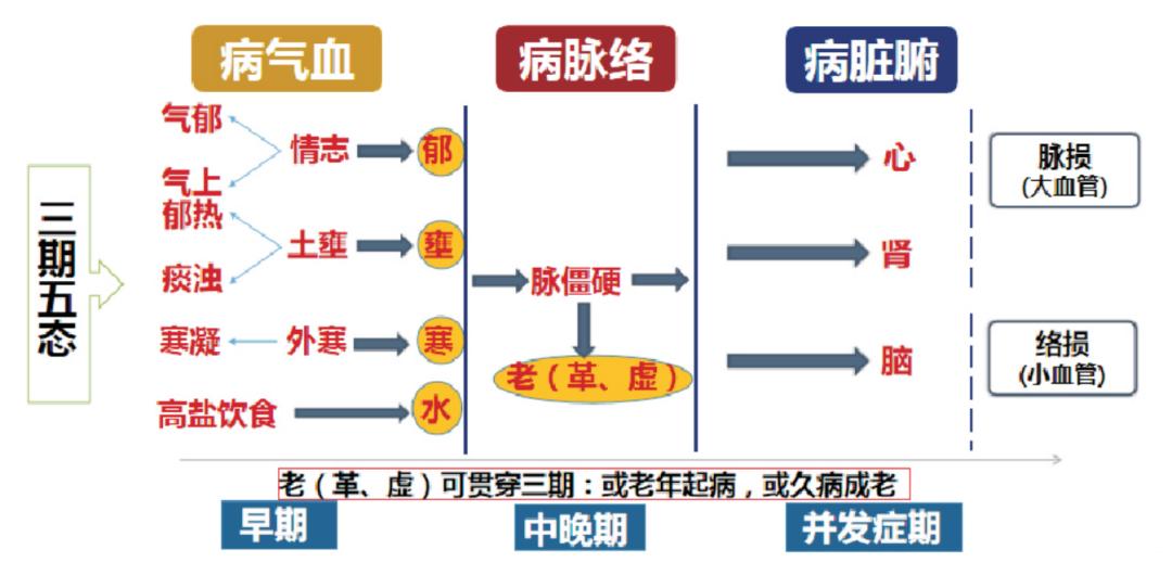 张景明教授讲中医高血压治疗,李可老中医教授治疗高血压
