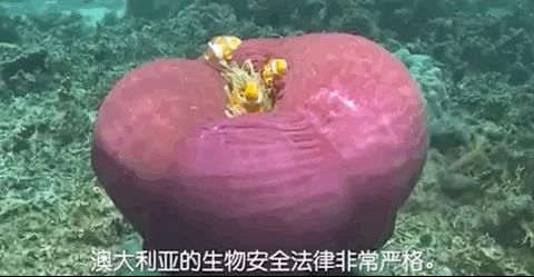 出国被海关劝退护照签证还能用吗,出国被海关劝返签证还能用吗