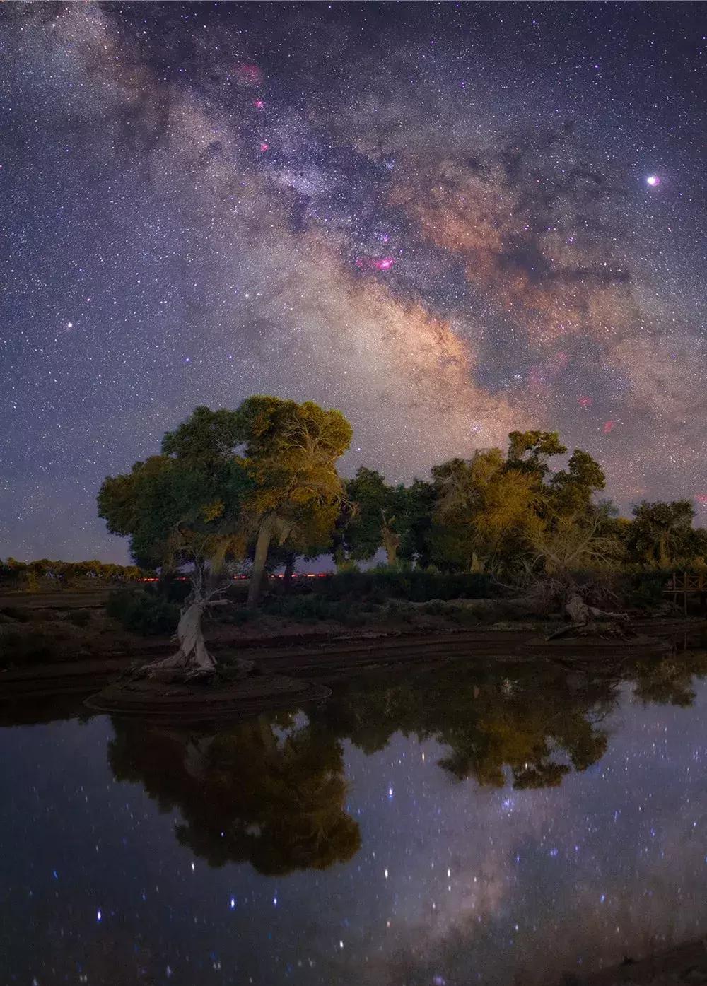 额济纳旅游自由行攻略,额济纳旗旅游最佳省钱攻略