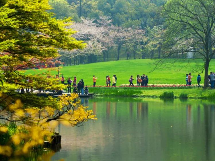 冬季杭州景点游玩,杭州游玩的景点有哪些