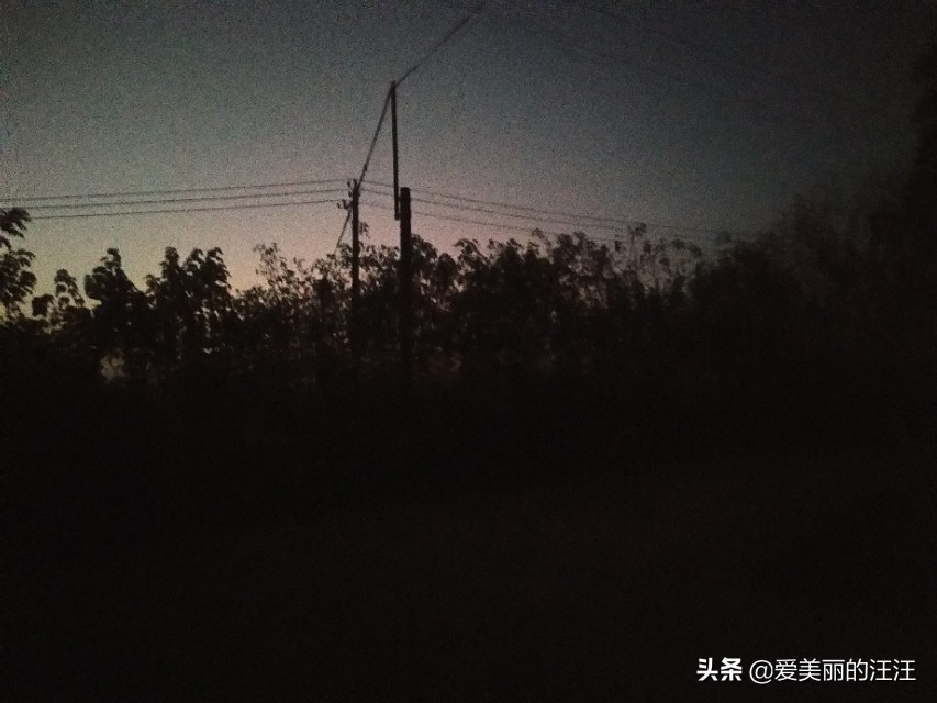 为了生娃去了无数次医院,武汉协和医院生殖中心怎么样