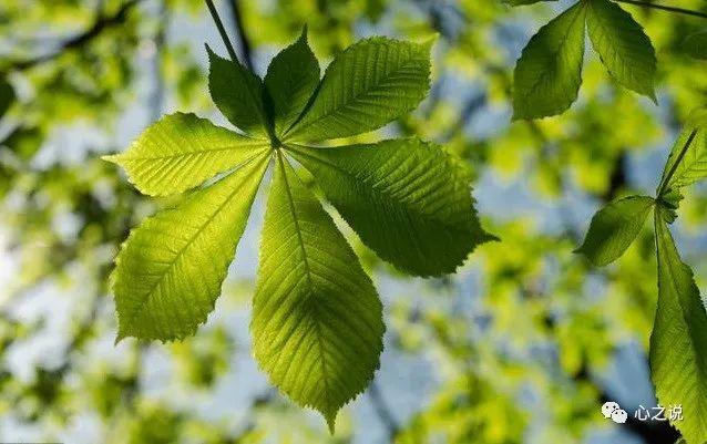 散文雨的作品,雨景散文随笔