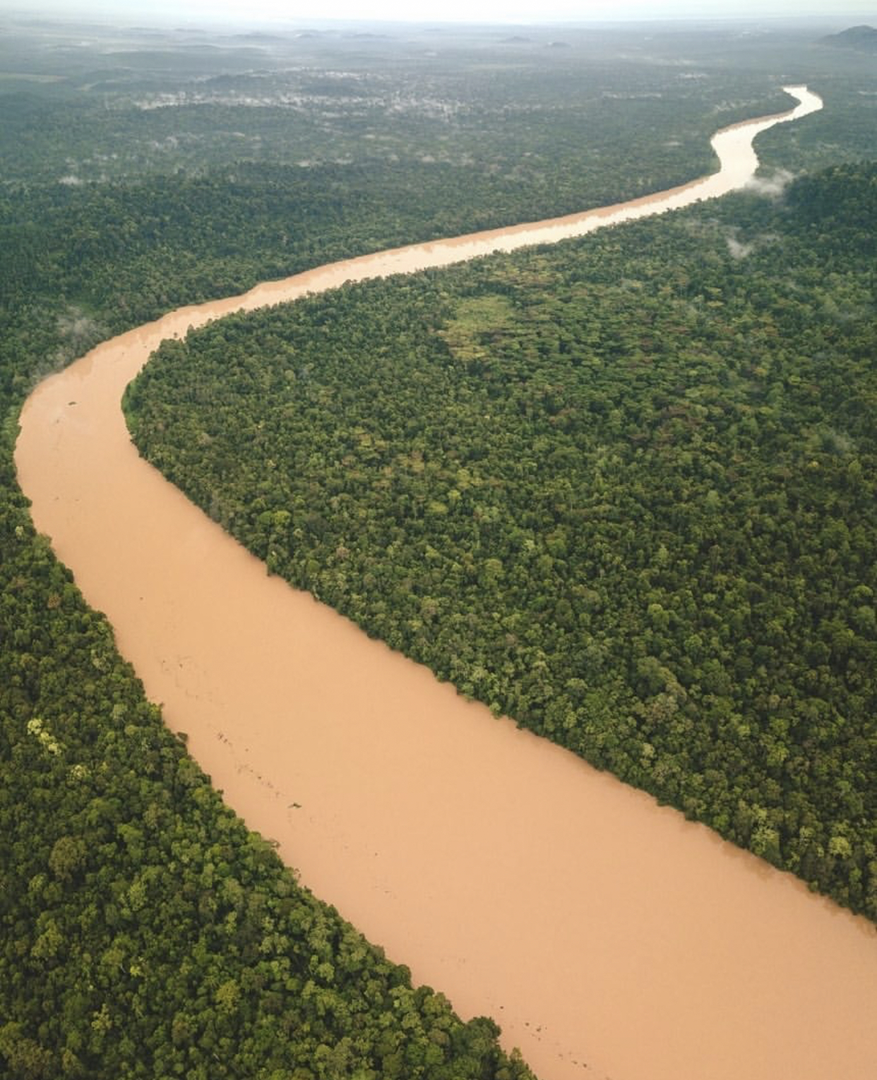 世界第一湾鳄,野性婆罗洲介绍