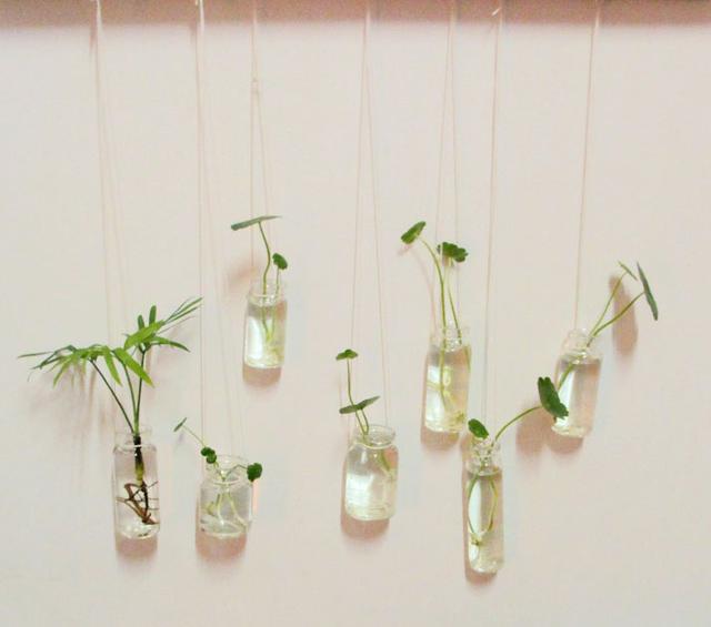 无土栽培水培过程,简单的无土栽培方法