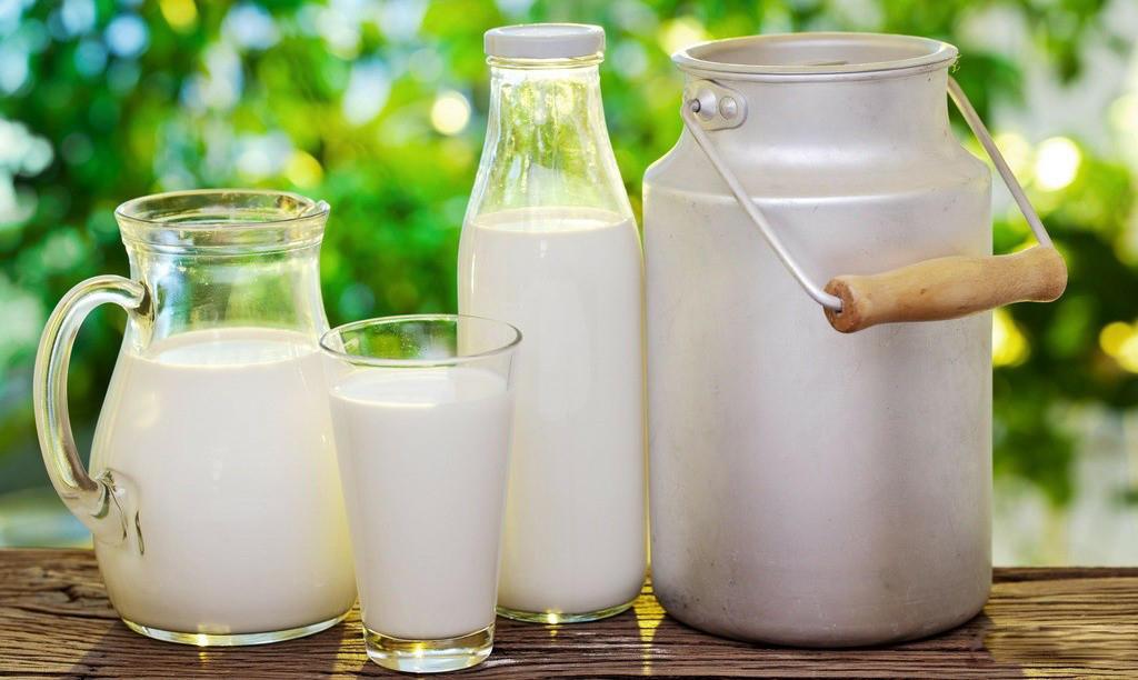 乳糖不耐受健身人群怎么解决,想提高体脂吃什么好