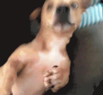 超市的蜂蜜是真蜂蜜吗,超市蜂蜜和天然蜂蜜区别