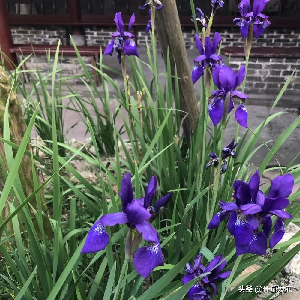 不负好春光文章,不负好春光的上一句