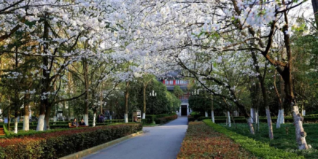 江苏一高校,江苏省四大高校