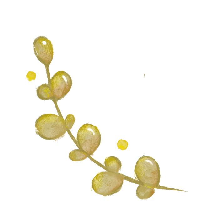 漫步西城|沿着千年时光的脉络，遇见广内~