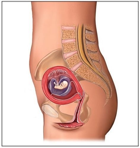 图解：10月怀胎，孕妇腹部的变化