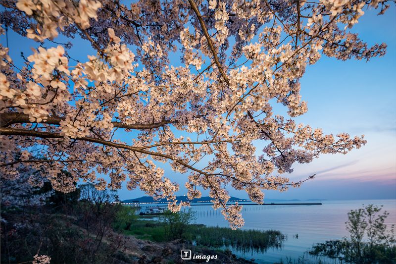 苏州地铁5号线旅游路线图,无锡地铁5号线与苏州地铁7号线