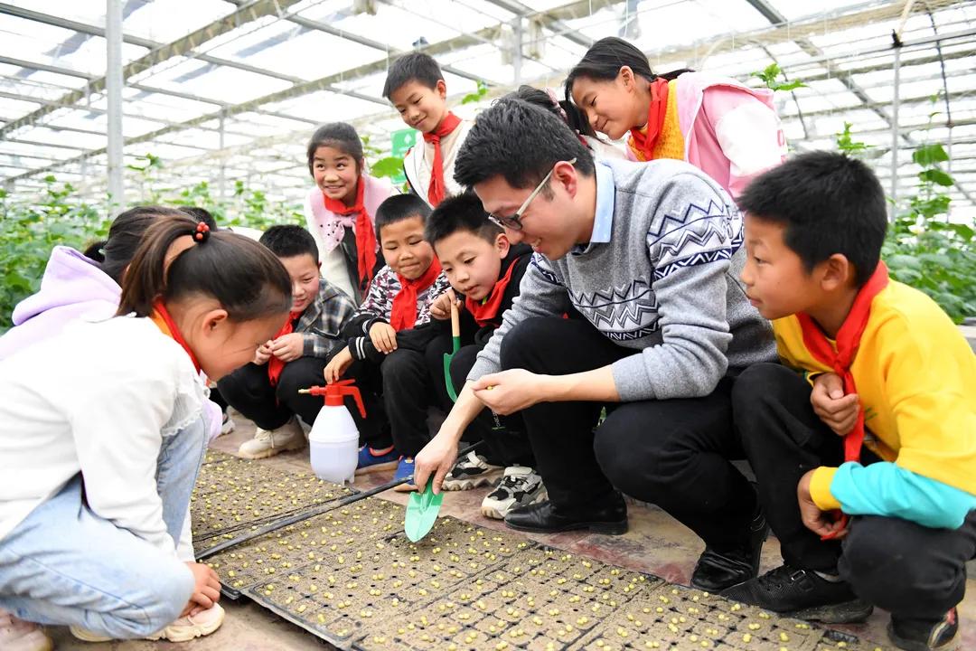 花儿朵朵向阳开幼儿园,幼师花儿朵朵向阳开舞蹈完整版