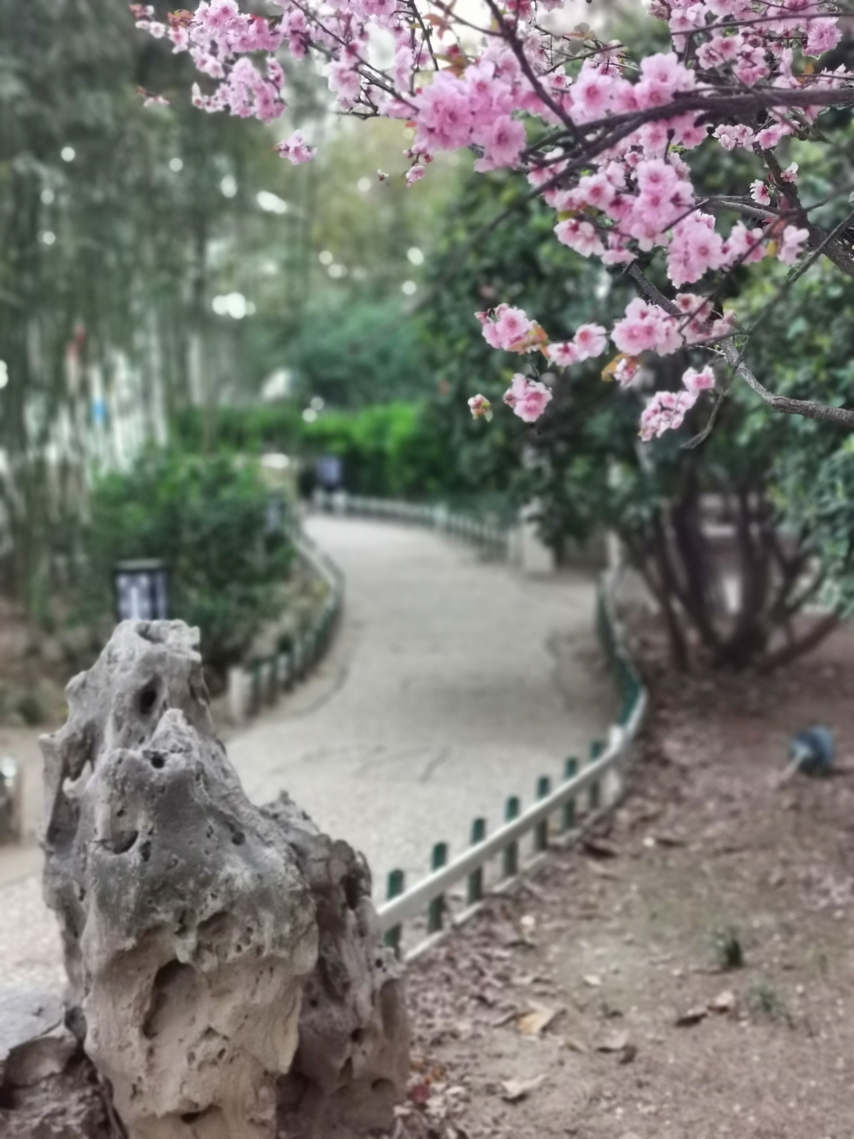 不负遇见，在郑州市第二十四中学成就彼此最美未来