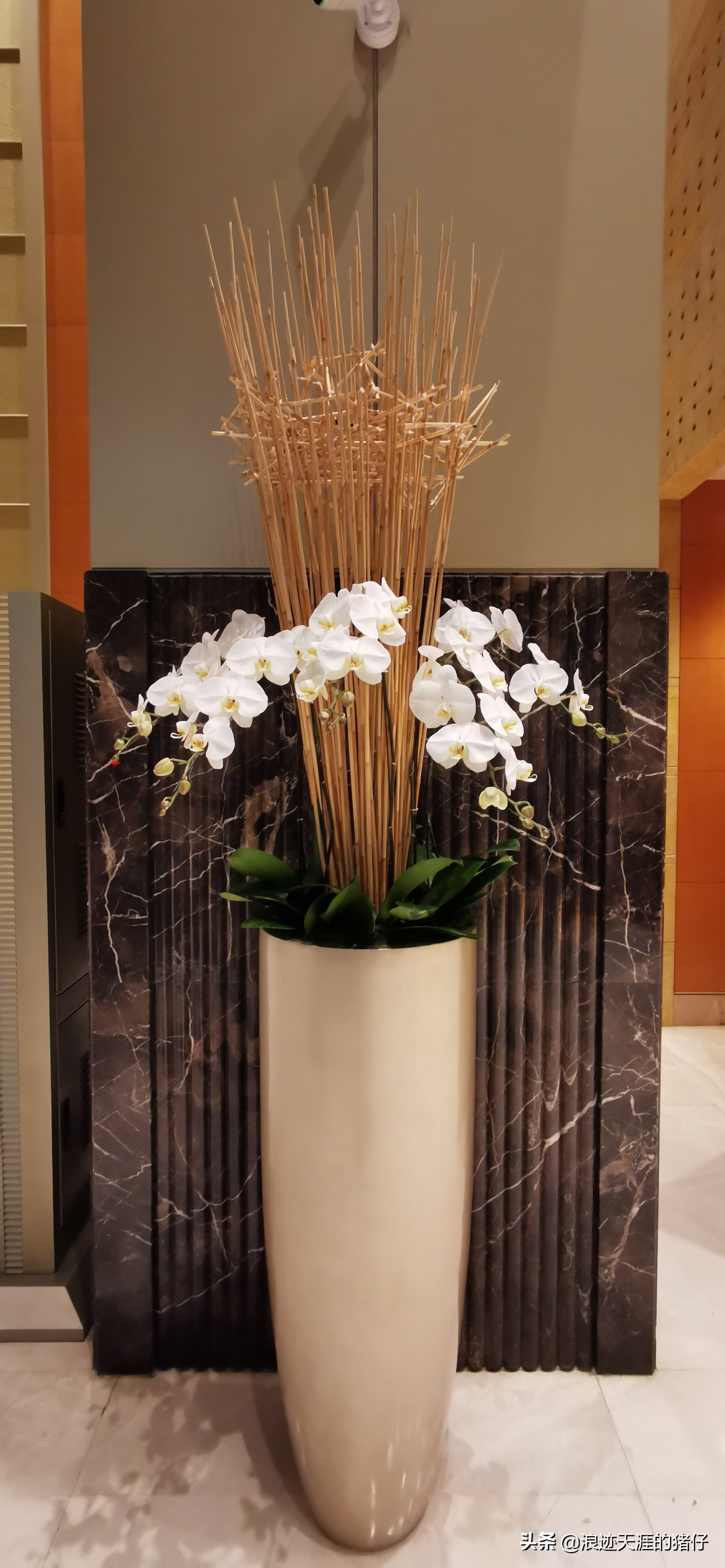 开业十八年上海最中心奢华五星酒店体验,喜半参犹。因为疫情缘故