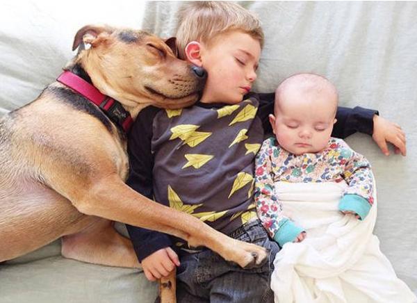 妈妈不舍宠物猫，婴儿肺里竟有猫毛?宠物与宝宝如何兼得?