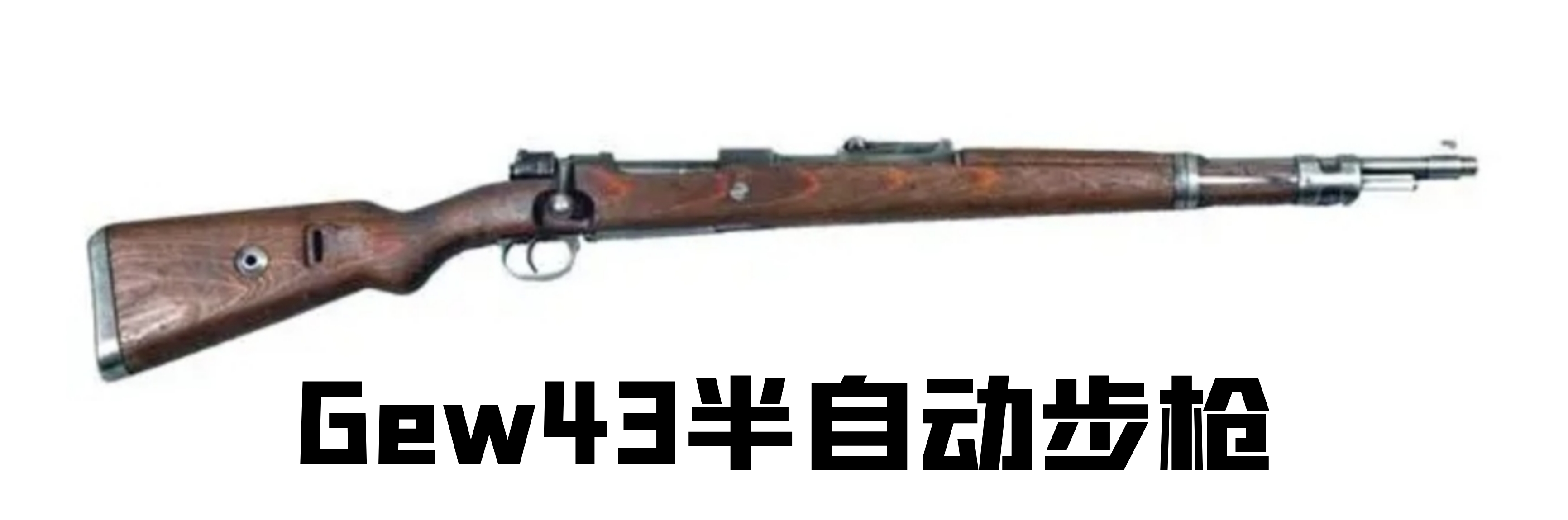 英国枪史图册全篇,德国枪图片