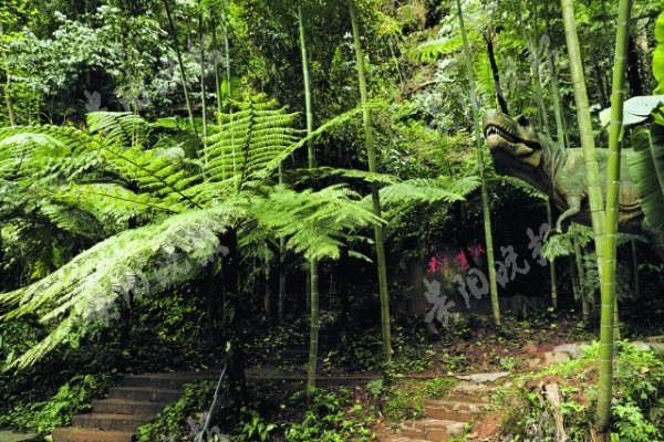 贵州再次发现恐龙足迹背后的故事,古道探寻恐龙足迹