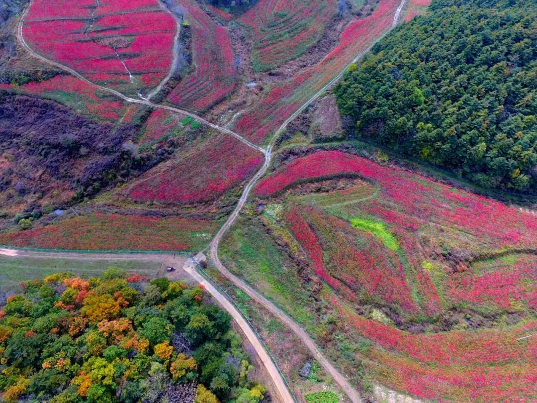 国庆运城游玩攻略,国庆运城旅游攻略