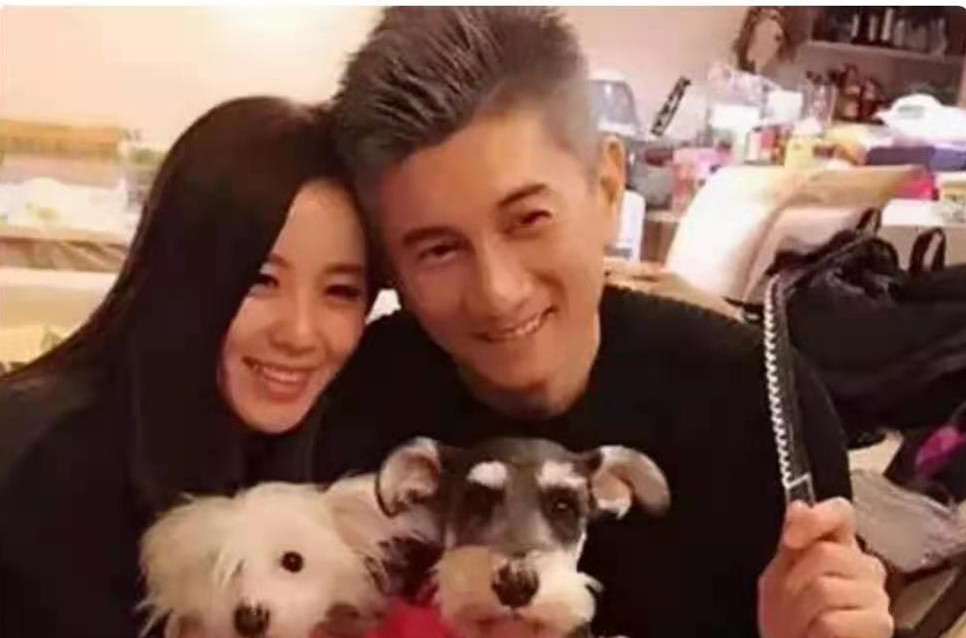 刘诗诗人淡如菊是人设还是性情,刘诗诗被低估了吗