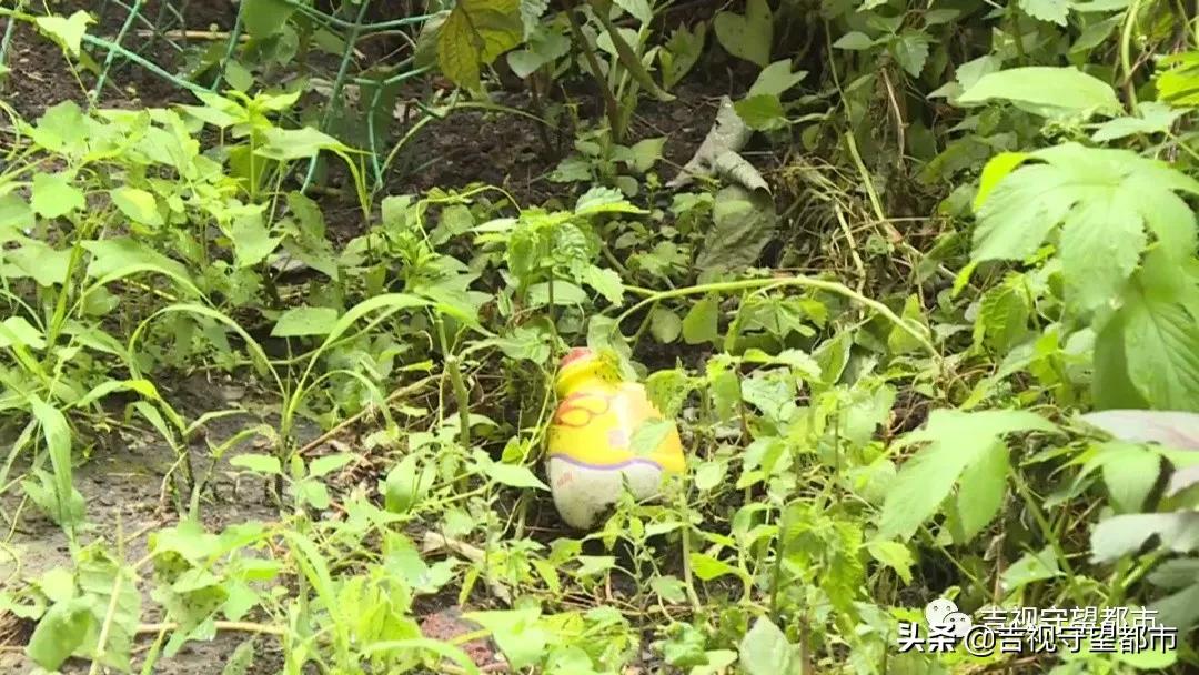 楼上总是往地上扔东西怎么处理,楼上什么都往下扔一楼居民很崩溃