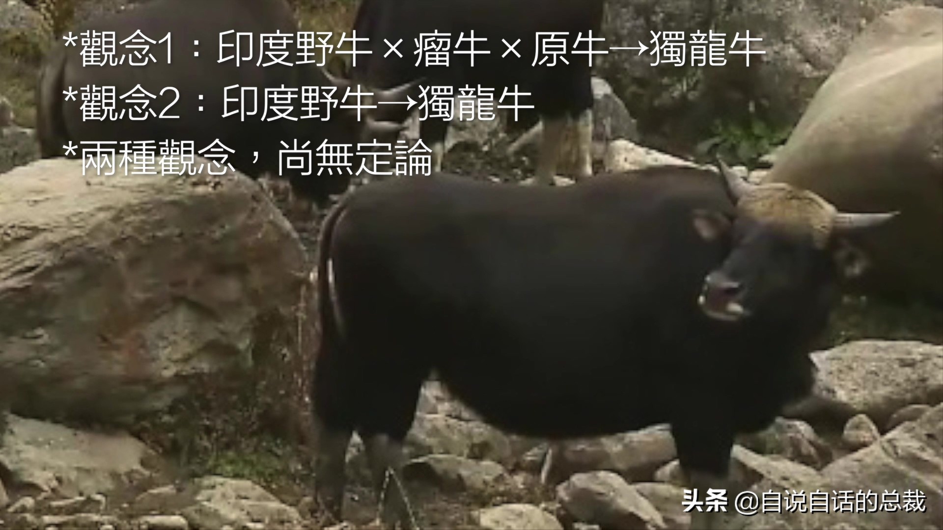 阿努纳奇创造人类7次文明,阿努纳奇人类起源