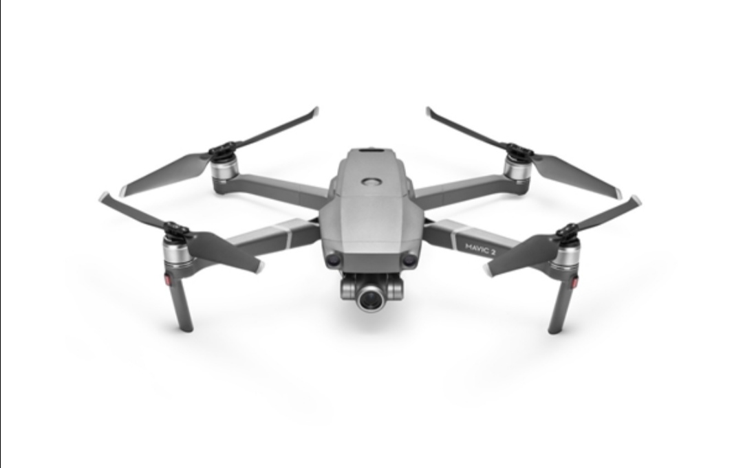 打不死的小强有虫吗,打不死的小强