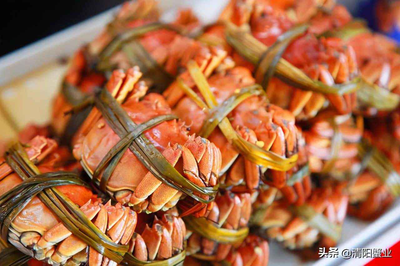正宗阳澄湖大闸蟹用什么绑的,揭秘阳澄湖大闸蟹不能说的秘密