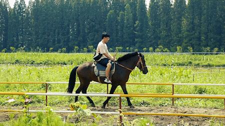 森氧之地，秋游必选！金湖万亩水上森林，真的别有趣味
