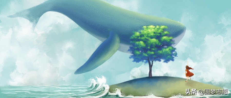 吉林动画学院专业排名,吉林大学动画专业排名