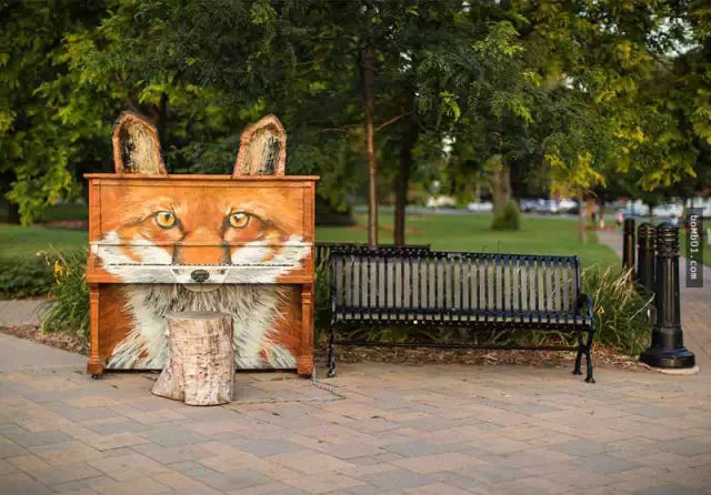 最有意境的照片关于钢琴,全球最美100张照片