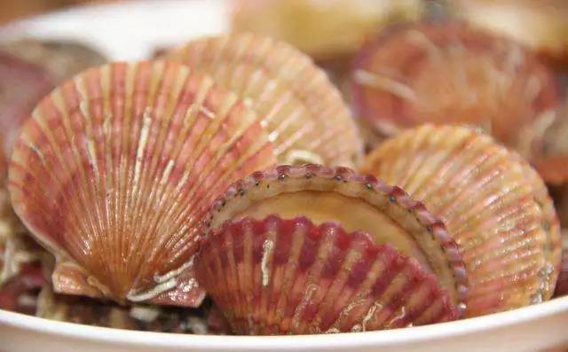 在大连买的扇贝还能吃么,大连吃扇贝去哪吃