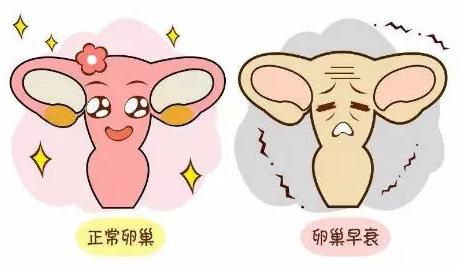 30岁就绝经会比正常人早死吗,33卵巢早衰导致的绝经了怎么治疗