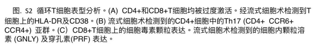 新冠肺炎的病理解剖图,全球首例新冠肺炎尸检结果
